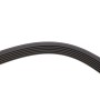 Ремінь генератора BMW X5/Ford Focus 1.4/1.6 16V 98- (6PK1892)