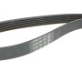 Ремінь генератора Citroen Jumper 1.9TD 94-02 (ALT,PS,AC)