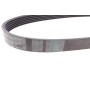 Ремінь генератора Citroen Berlingo/Fiat Ducato/Peugeot Boxer/Expert 1.9 D/TD 96-03 (6PK730)