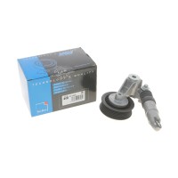 Натяжник ременя генератора VW Crafter 2.5 TDI 06-09 (кивачка)