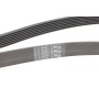 Ремінь генератора BMW 5 (E39/F10)/7 (E38) 3.5i/4.0i 96-03 (7PK1635)