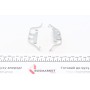 Планка супорта (заднього) прижимна (к-кт) Land Rover Range Rover 02-12 (Ate)