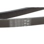 Ремінь генератора VW Amarok/Kia Sorento/Fiat Freemont 2.0/2.4/2.4 CVVT/3.0TDI 09-
