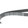 Ремінь генератора Citroen C3/C4/Peugeot 307 1.4-1.6HDi 02- (6PK1090)
