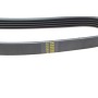 Ремінь генератора Citroen Berlingo 1.6/Peugeot Partner 1.4i 96- (5PK1218)