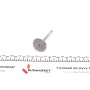Клапан (впуск) VW Caddy 1.9SDI 95-04 (36x7x96.5) (азотований)