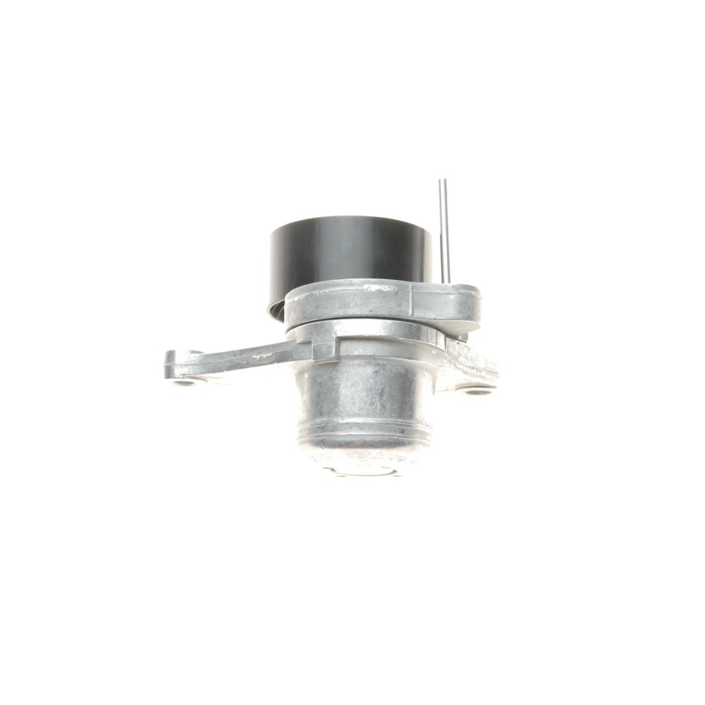 Комплект ременя генератора Renault Megane II/III 2.0 dCi 05- (7PK1705)