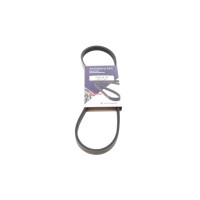 Ремінь генератора Renault Kangoo 1.6i 08-/ Nissan Micra1.0-1.4 92-03