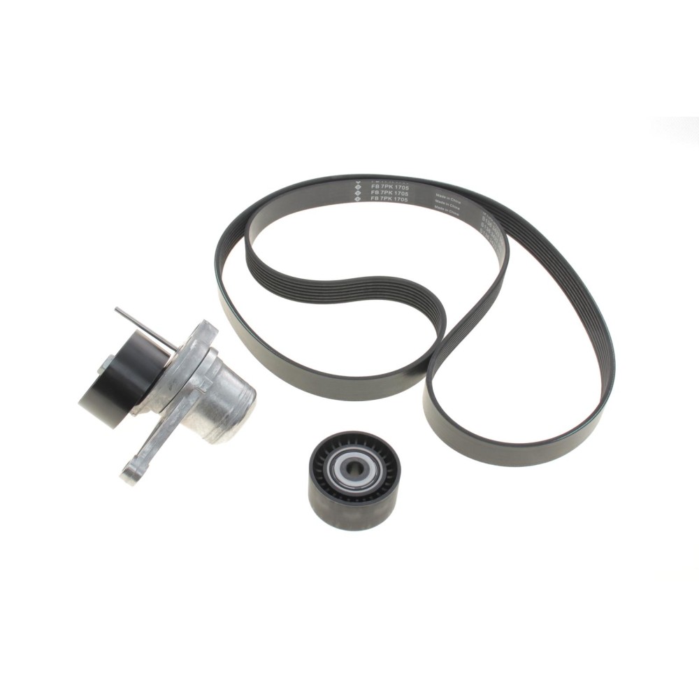 Комплект ременя генератора Renault Megane II 2.0 dCi 05-09 (7PK1705)