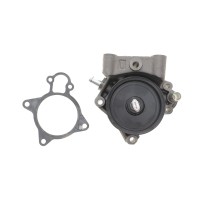 Помпа води Citroen Jumper/Peugeot Boxer 3.0HDi/Fiat Ducato 2.3D/3.0D/Iveco 06- (R/B) (7 лоп) (6 кан)