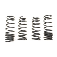 Комплект пружин (Pro-Kit) Honda Accord VIII 2.2 i-DTEC/2.4i 08-15 (4 шт.)