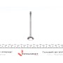 Клапан (випуск) Audi A4/A6/VW Passat 2.5TDI 97-05 (24x6x100.5) (азотований)