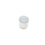 Поршень супорта (заднього) Nissan Qashqai/Renault Koleos 06- (43x45mm)