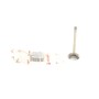 Клапан (впуск) Fiat Ducato 2.5-2.8JTD -06 (41x8x120.8)