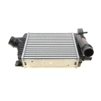 Радіатор інтеркулера Dacia Duster 1.2 TCe 13-/Renault Clio 1.5 dCi 12-