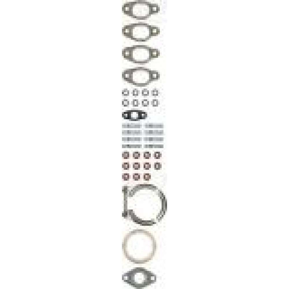 Комплект прокладок турбіни VW T5 1.9TDI 03-09 (AXC,AXB)