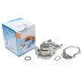 Помпа води Renault Clio 01-/Kangoo 01-/Twingo 1.2 16V 01- (B/B) (6 лоп)