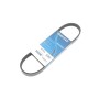 Ремінь генератора Seat Ibiza/Skoda Fabia/Rapid/Citigo/VW Polo/Up 1.0/1.6 14- (-AC)