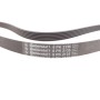 Ремінь генератора MB C-class (W203) 00-02/E-class (W212) 11-15/S-class (W221) 11-13/Sprinter 2.9