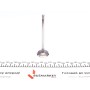 Клапан (впуск) Citroen Berlingo/Peugeot Partner 1.6 16V 00- (31.2x6x103.80) (вальцювання)