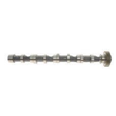 Розподільний вал VW Caddy III/IV/ T5/T6/ Crafter 30-50 2.0 TDI 10- (сторона впуска) (чавунний)