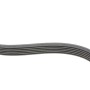 Ремінь генератора Ford Focus 1.4/1.6i 03-/Volvo C30/S40/V50 1.6 05-12 (6PK1059 ELAST+5PK868 ELAST)