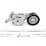 Натяжник ременя генератора Citroen/Peugeot/Ford 1.4HDi/1.6TDCi 01-