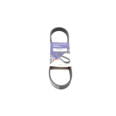 Ремінь генератора Citroen Berlingo/Jumper/Jumpy/Fiat Ducato/Scudo/Peugeot Boxer/Expert (6PK722)