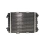 Радіатор охолодження VW Golf 2.0 GTI/R/TSI 16-