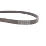 Ремінь генератора Renault Kangoo/Megane/Logan 1.4/1.6i 97-/Opel Insignia 2.0 17-