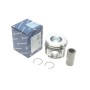 Поршень BMW 3 (E90/F30/F80)/5 (F10/F11)/X5 (E70/F15/F85) 3.0D 08-18 (84.25mm/+0,25) N57