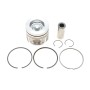 Поршень Citroen C3/C4/Berlingo/Peugeot 308/508/Partner 1.6 BlueHDi 14- (75.00mm/STD)