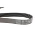 Ремінь генератора Ford Focus 1.8/2.0 04-12 (6PK1249)