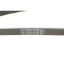 Ремінь генератора MB A-class (W169)/B-class (W245) 1.5-2.0 04-12/Opel Insignia 2.0T 13-17