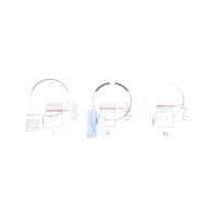 Кільця поршневі VW Crafter/Caddy/T6/Passat 2.0TDI 14- (81.0mm/STD) (1.75-2-2)
