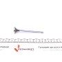Клапан (випуск) Citroen Jumpy/Fiat Scudo/Peugeot Expert 2.0HDi 16V 99- (25x6x106.2) (хромування)