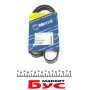 Ремінь генератора Ford Focus/Kuga 2.5 05- (5PK850)
