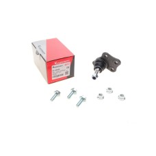 Опора кульова (передня/знизу) Dacia Duster/Renault Duster 1.2-2.0 10-