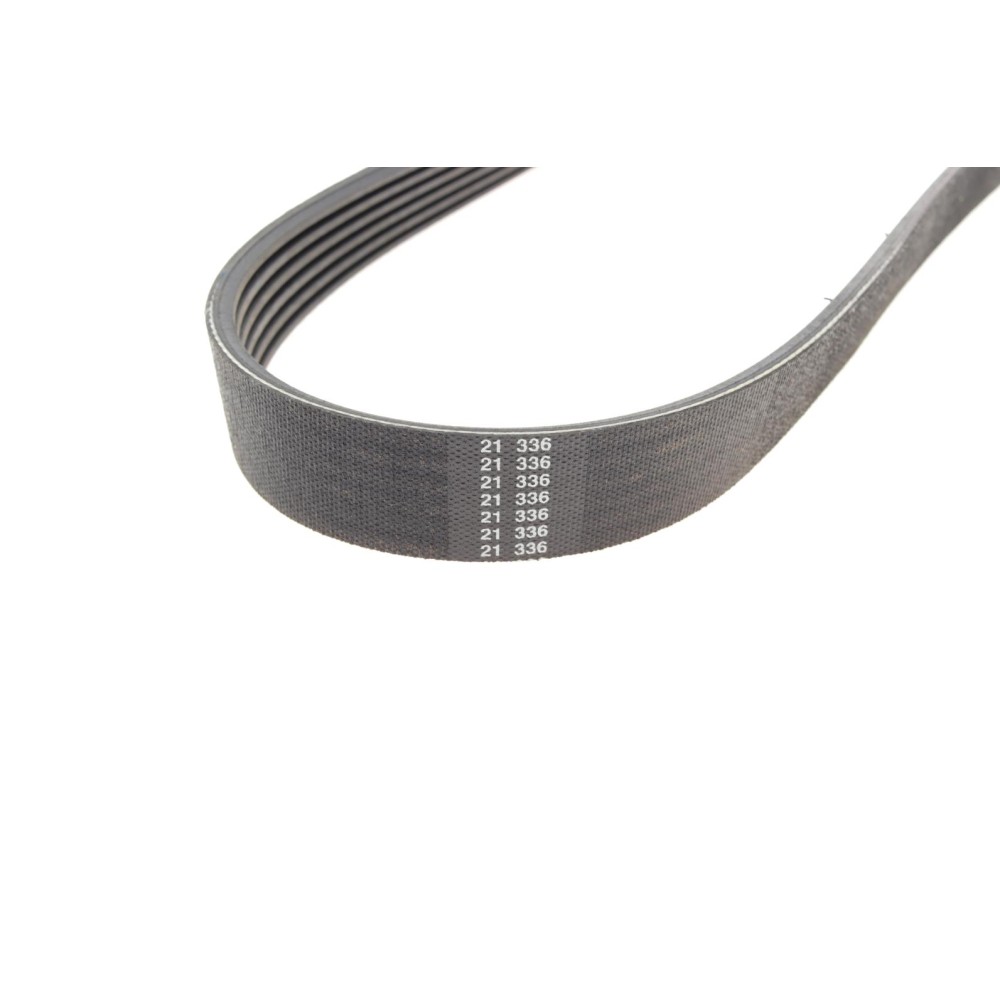 Ремінь генератора Citroen Berlingo/Fiat Ducato/Peugeot Boxer/Expert 1.9 D/TD 96-03 (6PK730)