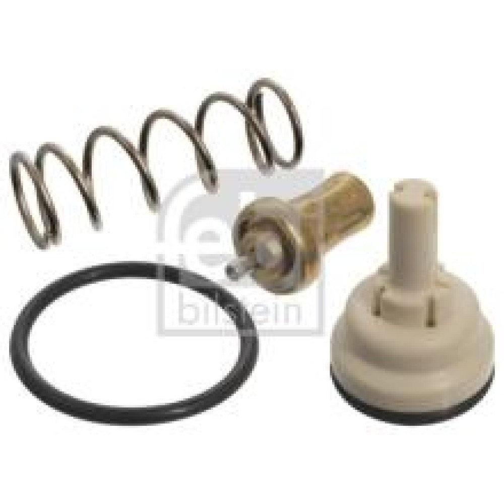 Термостат VW Polo/Skoda Rapid/Roomster 1.2/1.6 06-