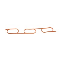 Прокладка колектора впускного BMW 3 (E36)/5 (E39)/7 (E38) M52/S52 2.0-3.2i 90-02