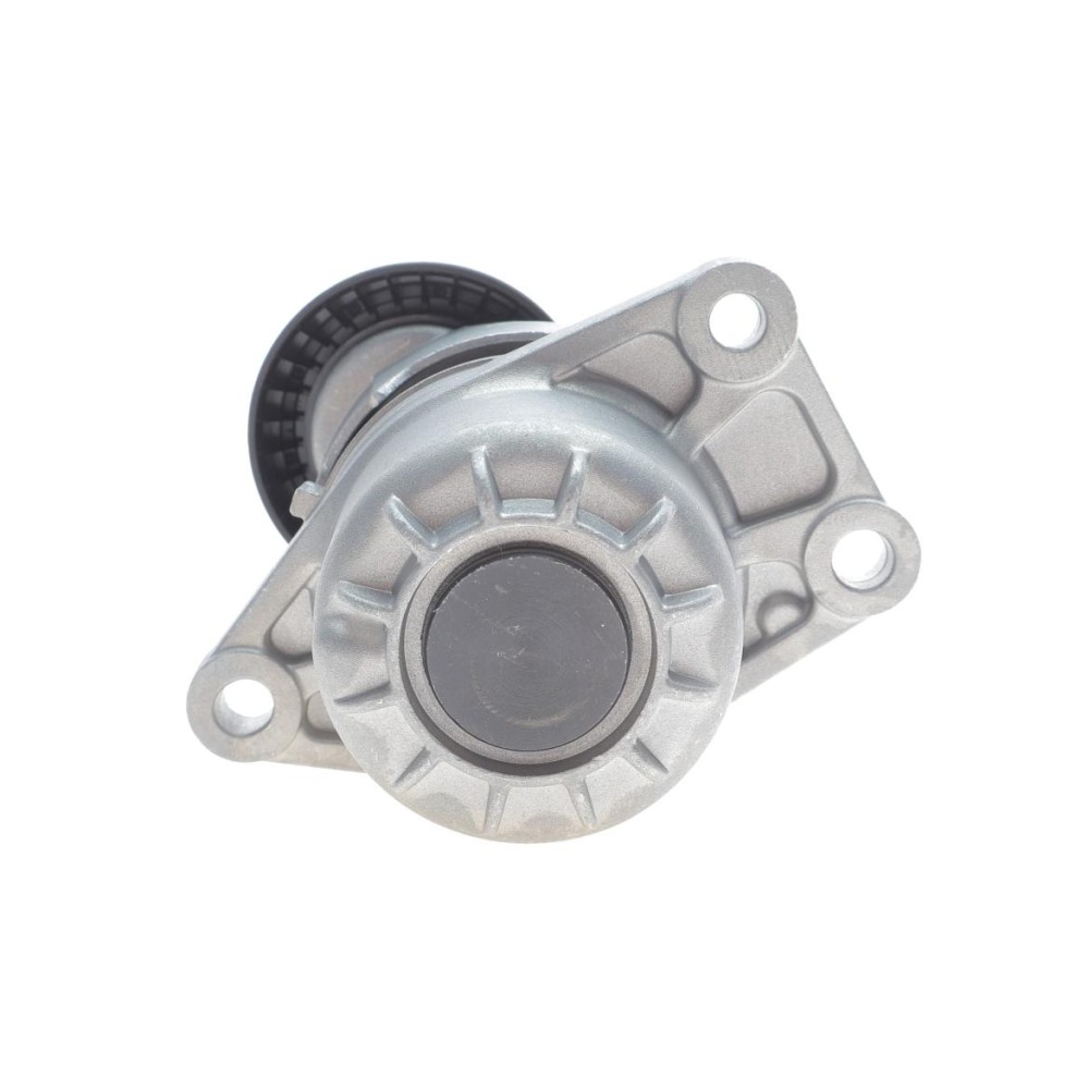 Натяжник ременя генератора Citroen C4/C5/Peugeot Expert 2.0 HDi 09-