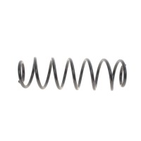 Пружина (задня) VW Polo 1.2-1.4/1.4-1.9TDI 01-09/Skoda Fabia 1.0-1.2TSI/1.2-1.4TDI 07- (накл.з.ч)