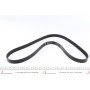 Ремінь генератора Fiat Doblo 1.3D Multijet/1.3JTD/Ford Focus 1.8/2.0 04-