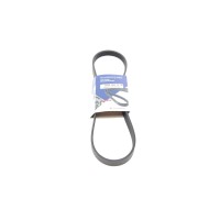 Ремінь генератора Ford Focus 1.4/1.6 Ti 03- (5PK868)