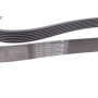 Ремінь генератора Hyundai H-1/Kia Sorento 2.5CRDi 06-/Land Rover Defender/Discovery 2.5Td5 98-