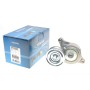 Натяжник ременя генератора Mazda 2/3 1.4/1.6 03-