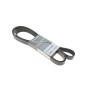 Ремінь генератора VW LT 28-35 2.5 SDI 96-06 (8PK2482)