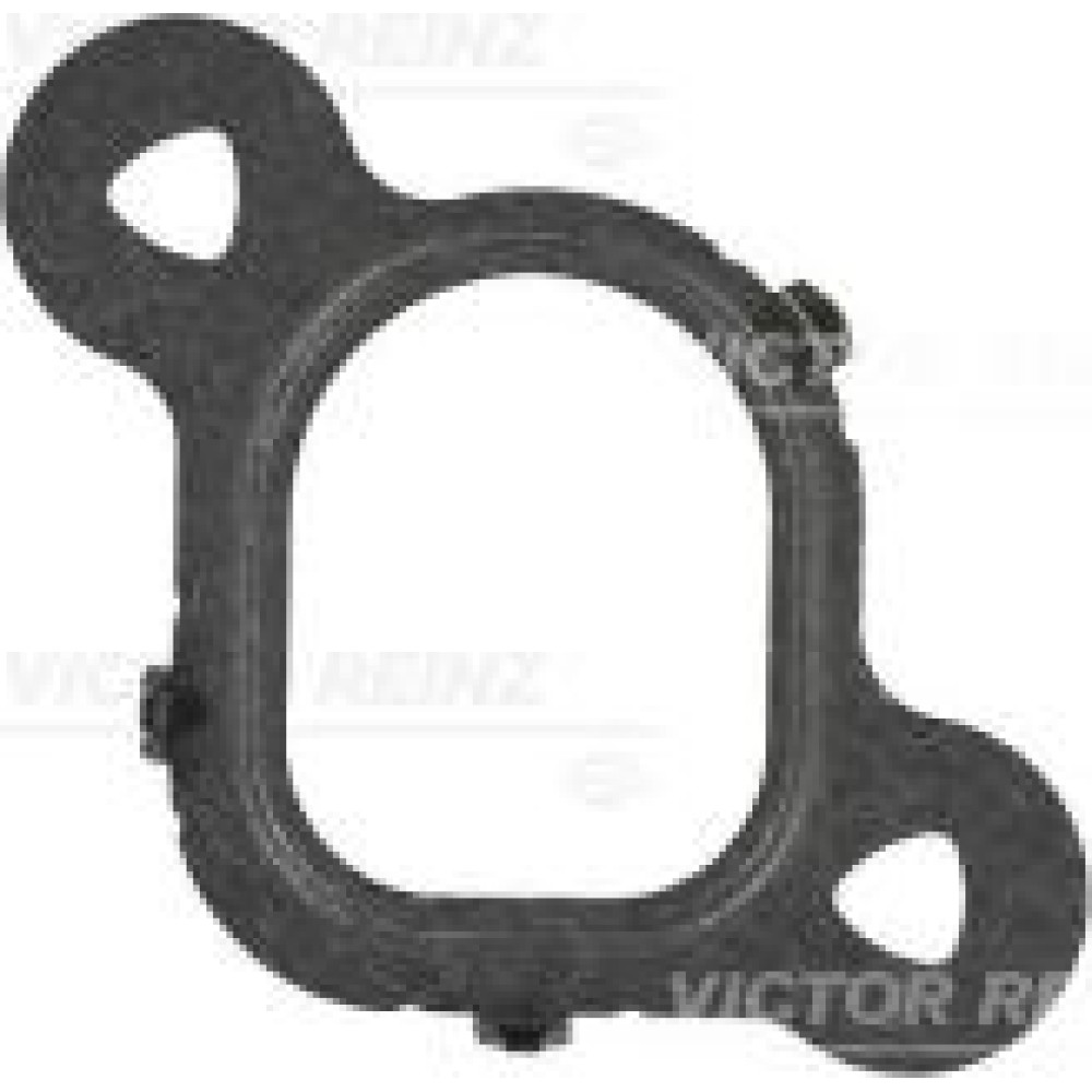 Прокладка колектора впускного VW T5 2.5 TDI 03-10 (1 цил)