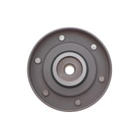 Ролик ГРМ VW T4 2.4D (паразитний) (74.5х27.3)